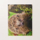 Puzzle Hérisson Explorez Curieusement (Vertical)