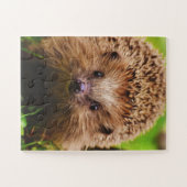 Puzzle Hérisson Explorez Curieusement la nature (Horizontal)