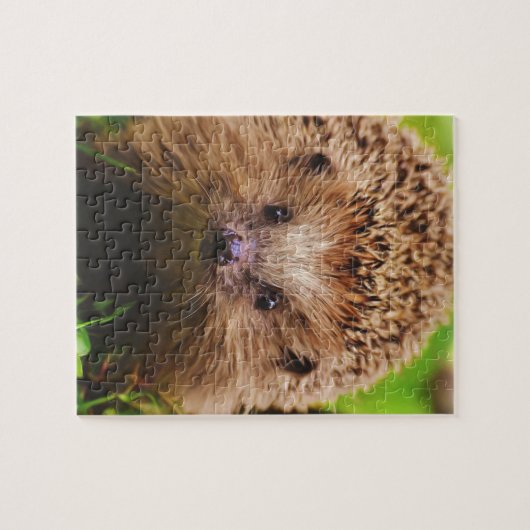 Puzzle Hérisson Explorez Curieusement la nature (Horizontal)