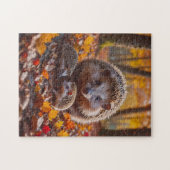 Puzzle Hérissons (Horizontal)