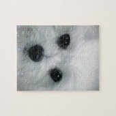 Puzzle Hermes le maltais (Horizontal)