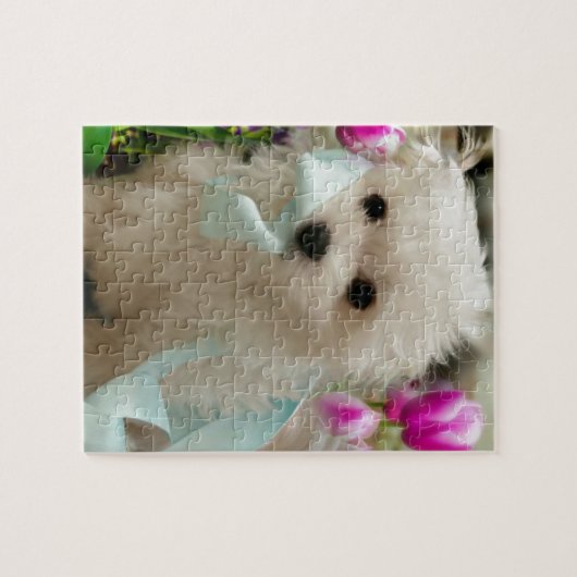 Puzzle Hermes le maltais (Horizontal)