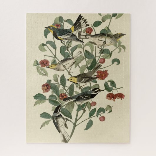 Puzzle Hermite, autres fautes de guerre, Audubon's Birds (Vertical)