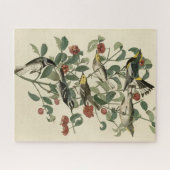 Puzzle Hermite, autres fautes de guerre, Audubon's Birds (Horizontal)