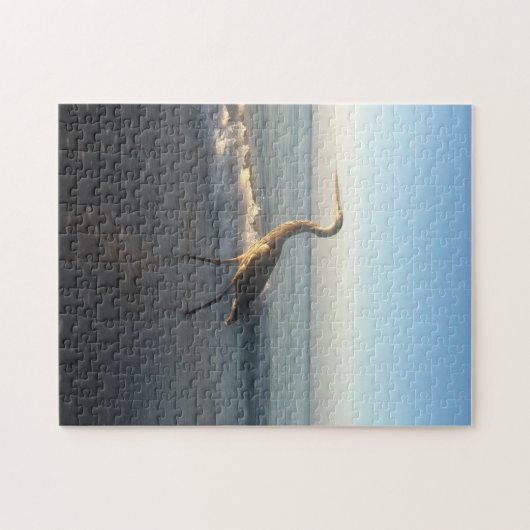 Puzzle Heron Beach Florida. (Horizontal)