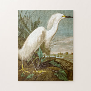 Puzzle Héron blanc par John James Audubon