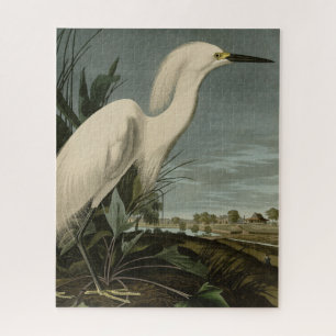 Puzzle Héron de neige (Egret) - Les oiseaux d'Amérique d'