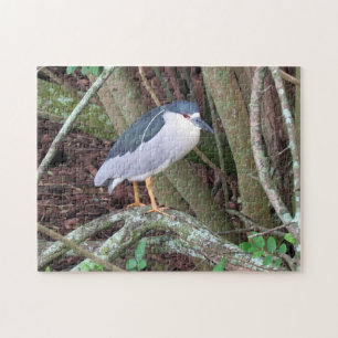 Puzzle Héron de nuit à la couronne noire - Oiseau - Puzzl