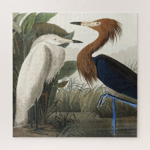 Puzzle Héron pourpré de Birds of America