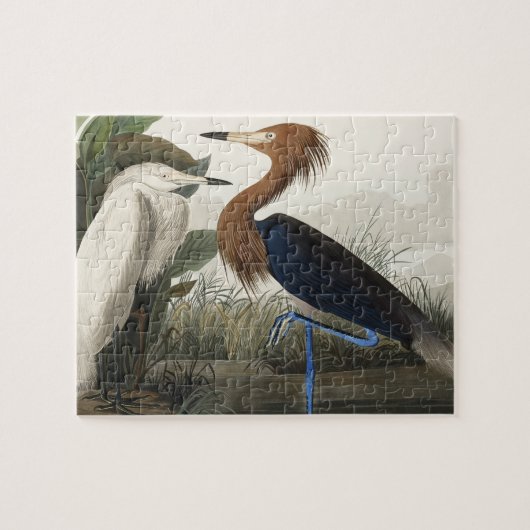 Puzzle Héron violet des oiseaux d'Amérique (Horizontal)