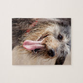 Puzzle Heureux chien sur une plage (Horizontal)