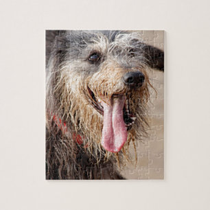 Puzzle Heureux chien sur une plage