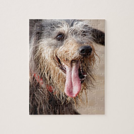 Puzzle Heureux chien sur une plage (Vertical)