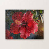 Puzzle Hibiscus (Horizontal)