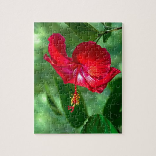 Puzzle Hibiscus Blossom (Vertical)