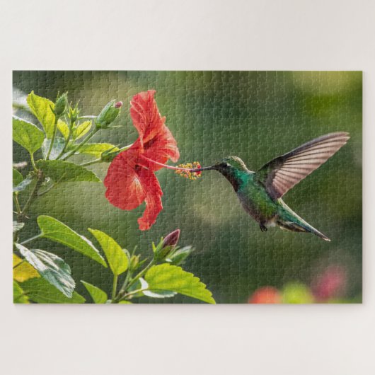 Puzzle Hibiscus de colibri - Art tropique dynamiqu (Horizontal)