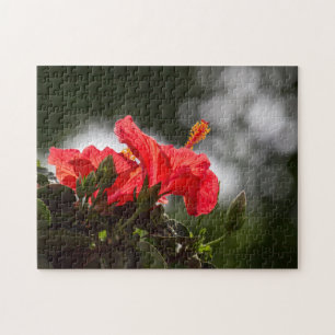 Puzzle Hibiscus Fleurit Et Bufs