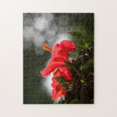 Puzzle Hibiscus Fleurit Et Bufs (Vertical)