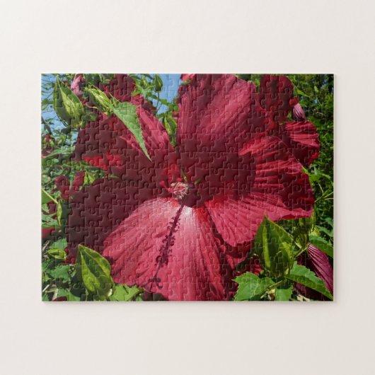 Puzzle Hibiscus Flower and Blue Sky (Horizontal)