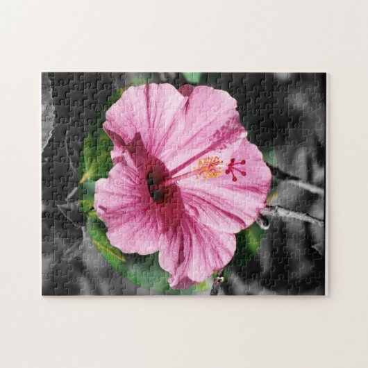 Puzzle Hibiscus rose (Horizontal)
