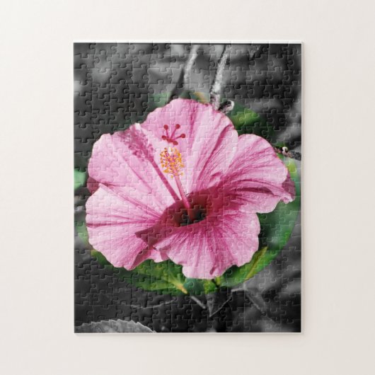 Puzzle Hibiscus rose (Vertical)