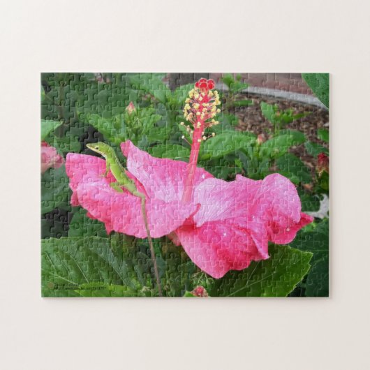 Puzzle Hibiscus rose Tropical Flower Anole Lizard Photo (Horizontal)