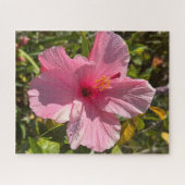 Puzzle Hibiscus tropical rose, Oakland (Horizontal)