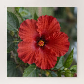 Puzzle Hibiscus Tropical Rouge Vibrant Fleurit (Horizontal)