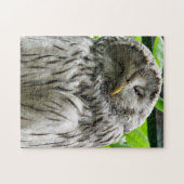 PUZZLE HIBOU (Horizontal)
