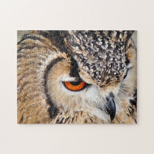PUZZLE HIBOU (Horizontal)