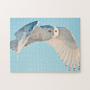 Puzzle Hibou blanc en vol