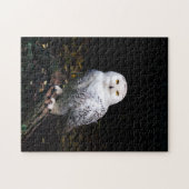 Puzzle Hibou blanc majestueux d'hiver (Horizontal)