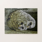 Puzzle Hibou Dans La Famille (Horizontal)