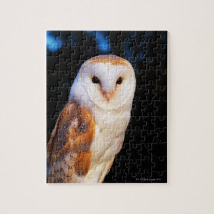 Puzzle Hibou de grange