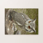Puzzle hibou de l'aigle indien (Horizontal)