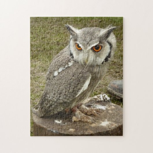 Puzzle hibou de l'aigle indien (Vertical)