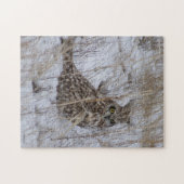 Puzzle Hibou des marais B11 (Horizontal)
