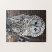 Puzzle Hibou d'Ural (Horizontal)