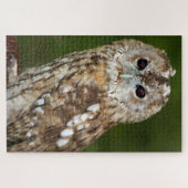 Puzzle Hibou moyen-duc (Horizontal)
