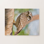 Puzzle Hibou repéré sur le vol de matin (Horizontal)