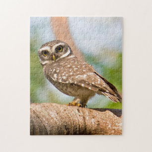 Puzzle Hibou repéré sur le vol de matin