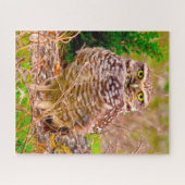 Puzzle Hiboux - Oiseaux de proie. (Horizontal)