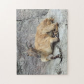 Puzzle Himalayan Tahr (Vertical)