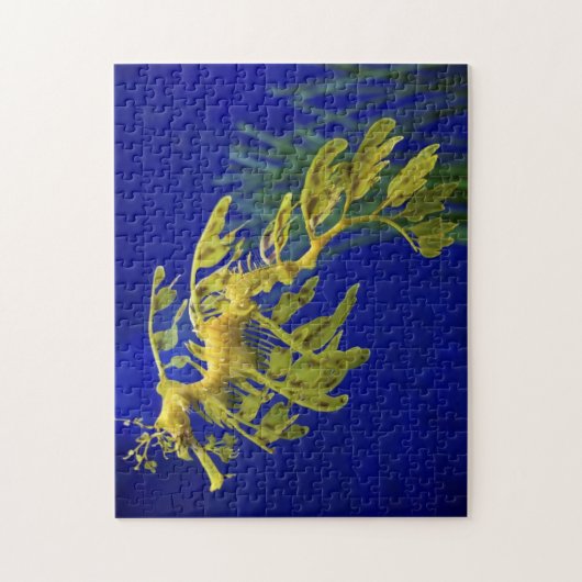 Puzzle Hippocampe (Vertical)