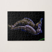Puzzle Hippocampes (hippocampes) (Horizontal)
