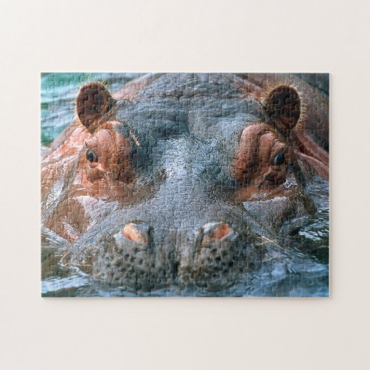 Puzzle Hippopotame #1 (Horizontal)