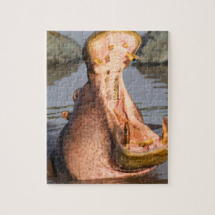 Puzzle Hippopotame bâillant, Tanzanie