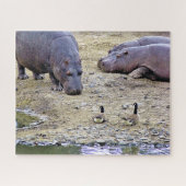 PUZZLE HIPPOS (Horizontal)