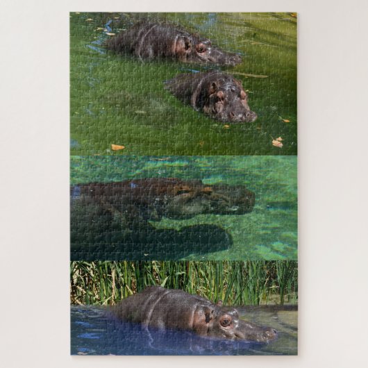 Puzzle Hippos heureux dans un étang, (Vertical)