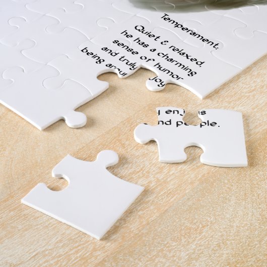 Puzzle Histoire de Sealyham Terrier (Côté)